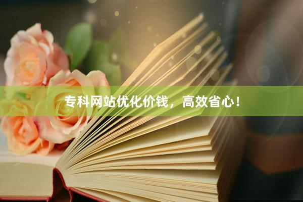 专科网站优化价钱，高效省心！