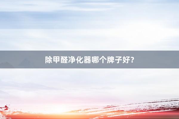 除甲醛净化器哪个牌子好？