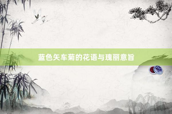 蓝色矢车菊的花语与瑰丽意旨